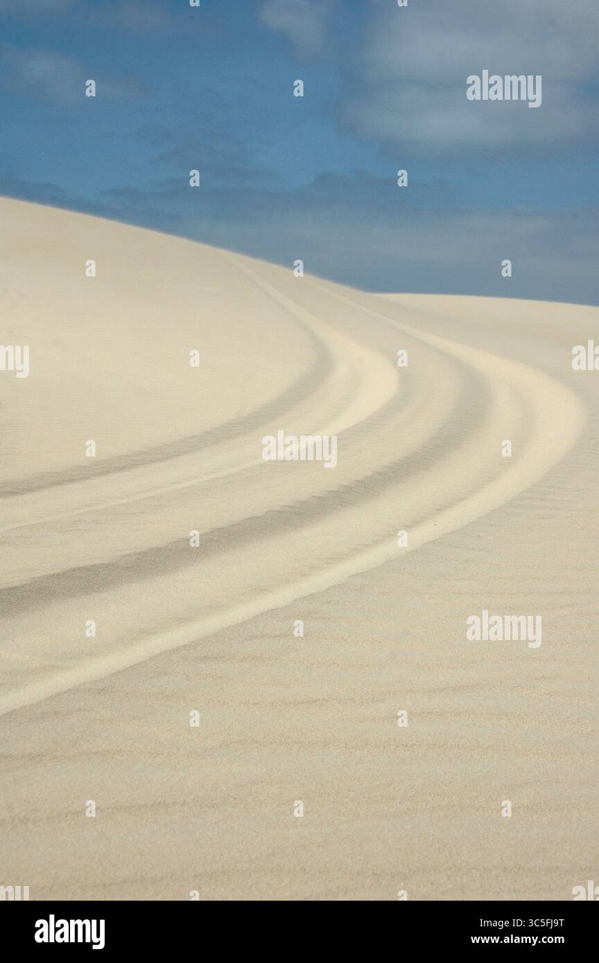 I cingoli curvi sulle morbide dune di sabbia sotto un cielo azzurro a Boavista, Capo Verde, mettono in risalto il paesaggio desertico con una composizione sorprendente. Foto Stock