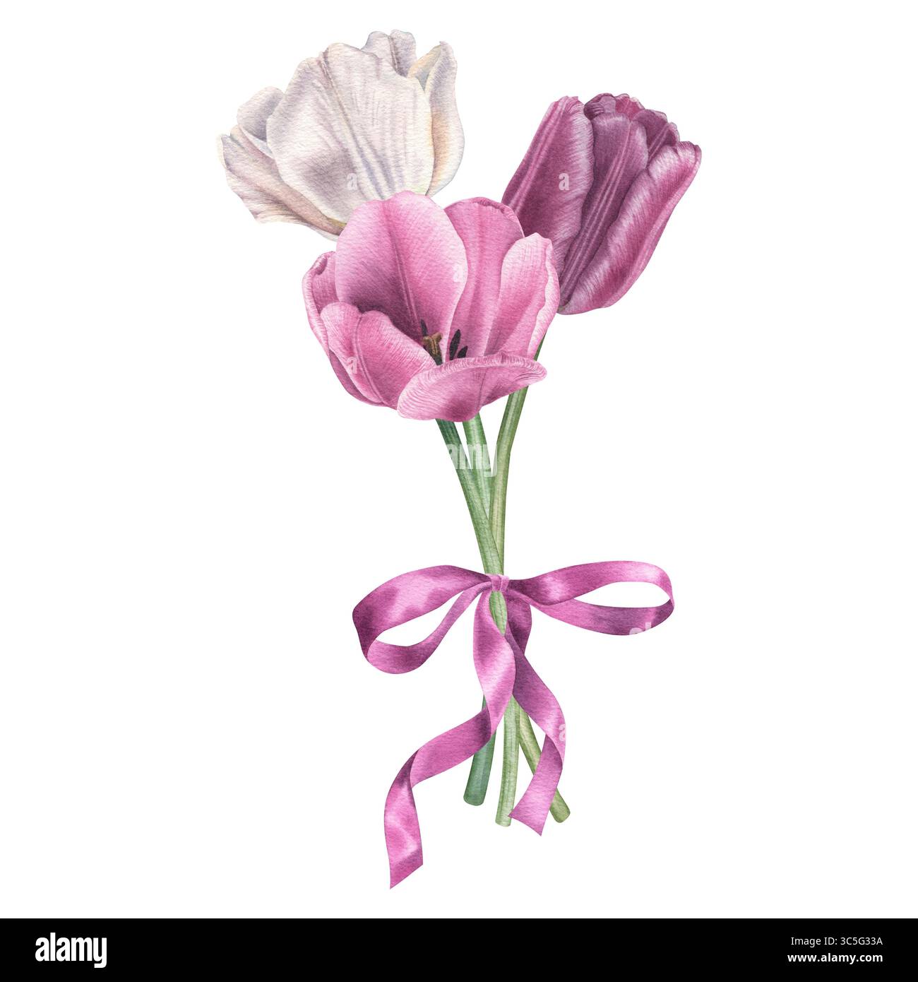 Bouquet di tulipani con fiocco. Illustrazione ad acquerello disegnata a mano di fiori primaverili in colori viola e bianco su sfondo isolato. Floreale e natura Foto Stock