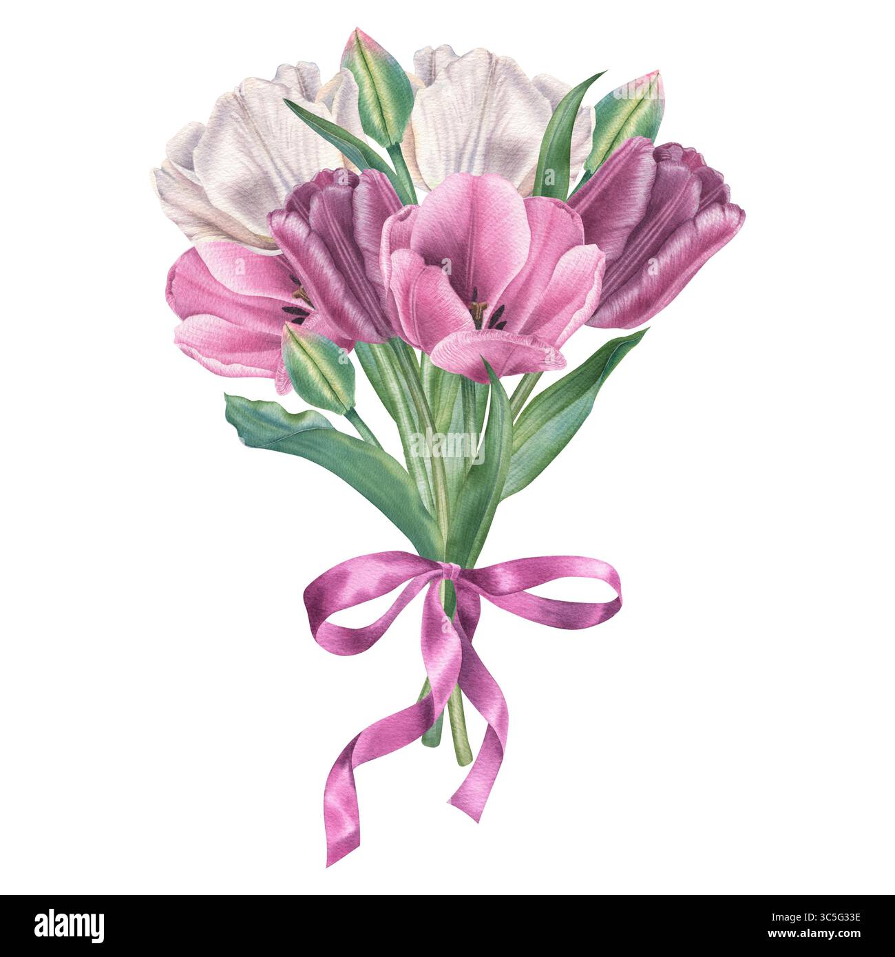 Bouquet di tulipani con fiocco in raso. Illustrazione ad acquerello disegnata a mano di fiori primaverili con foglie verdi su sfondo isolato. Disposizione floreale Foto Stock