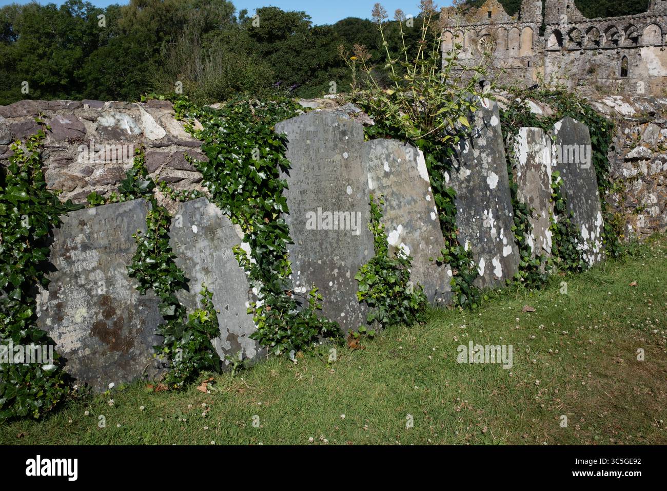 Lapidi nel terreno della St Davids Cathedral nel Pembrokeshire West Wales UK Foto Stock