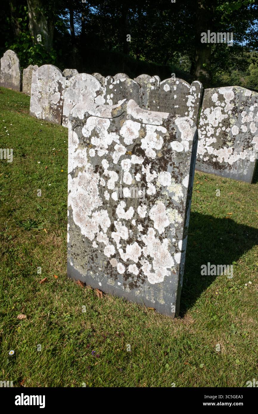 Lapidi nel terreno della St Davids Cathedral nel Pembrokeshire West Wales UK Foto Stock