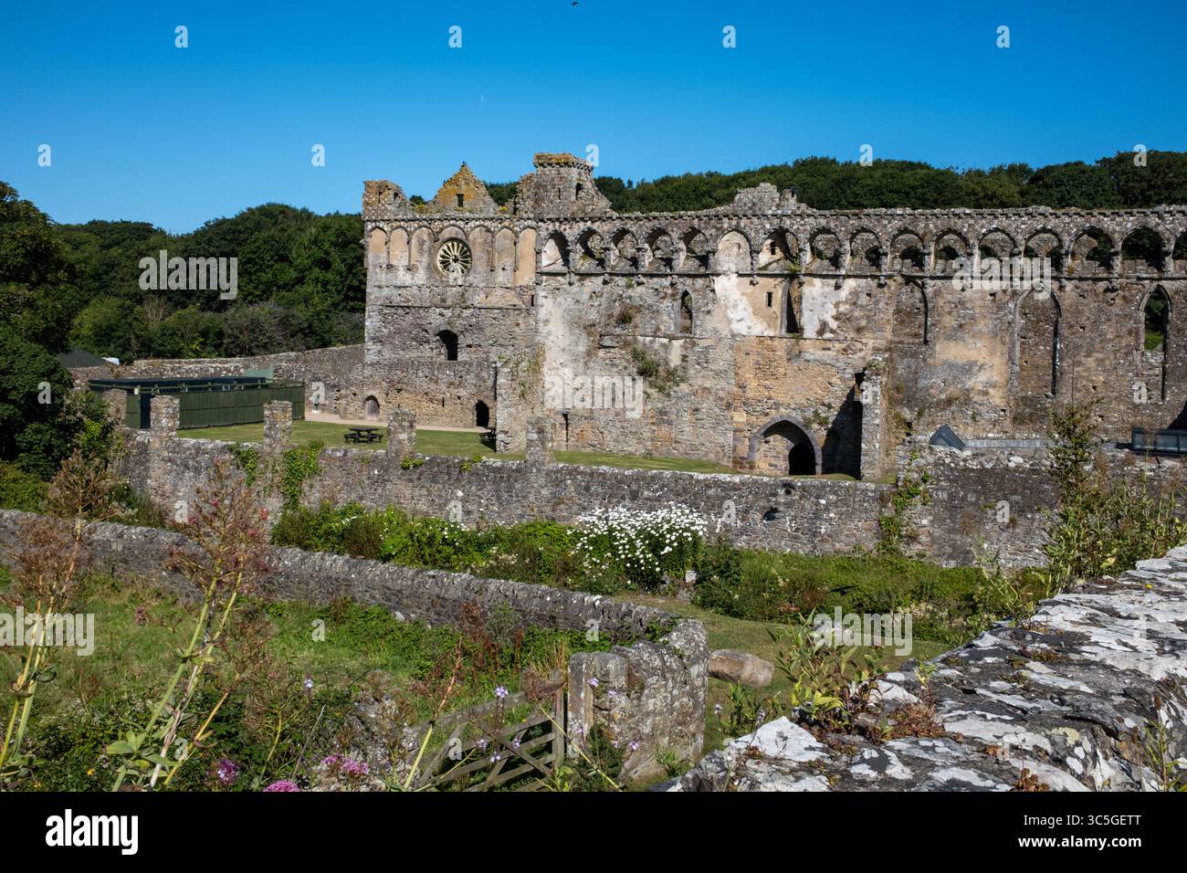 Il Palazzo dei Vescovi a St Davids Pembrokeshire Galles Occidentale Regno Unito Foto Stock