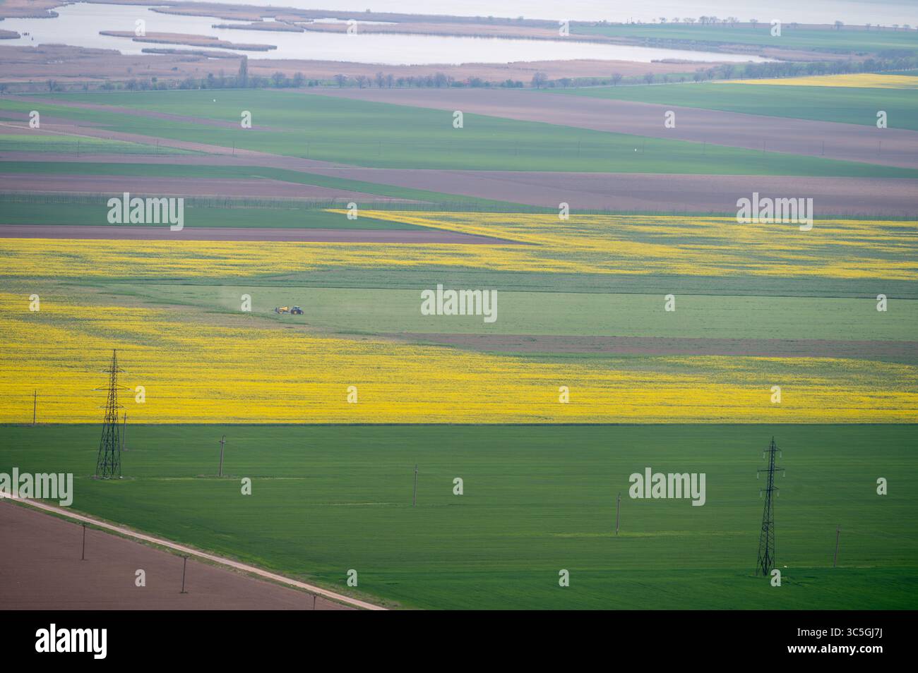 Vista aerea dei campi di patchwork in primavera con colza gialla in fiore Foto Stock