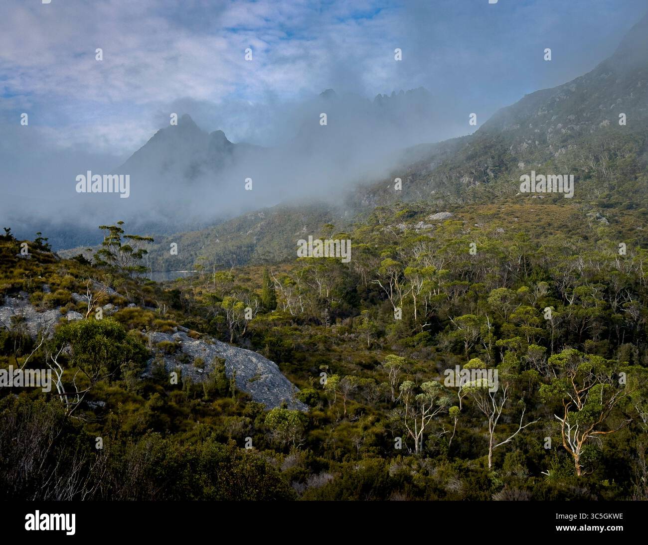 Cradle Mountain National Park, Tasmania, Australia. Foto Stock