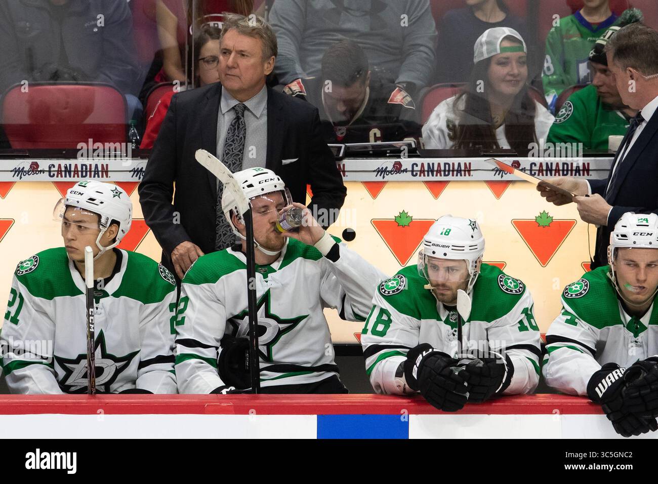 16 febbraio 2020: Capo allenatore dei Dallas Stars Rick Bowness durante la partita NHL tra i Dallas Stars e gli Ottawa Senators al Canadian Tire Centre di Ottawa, Canada. Daniel Lea/CSM(immagine di credito: &Copy; Daniel Lea/CSM tramite cavo ZUMA) Foto Stock