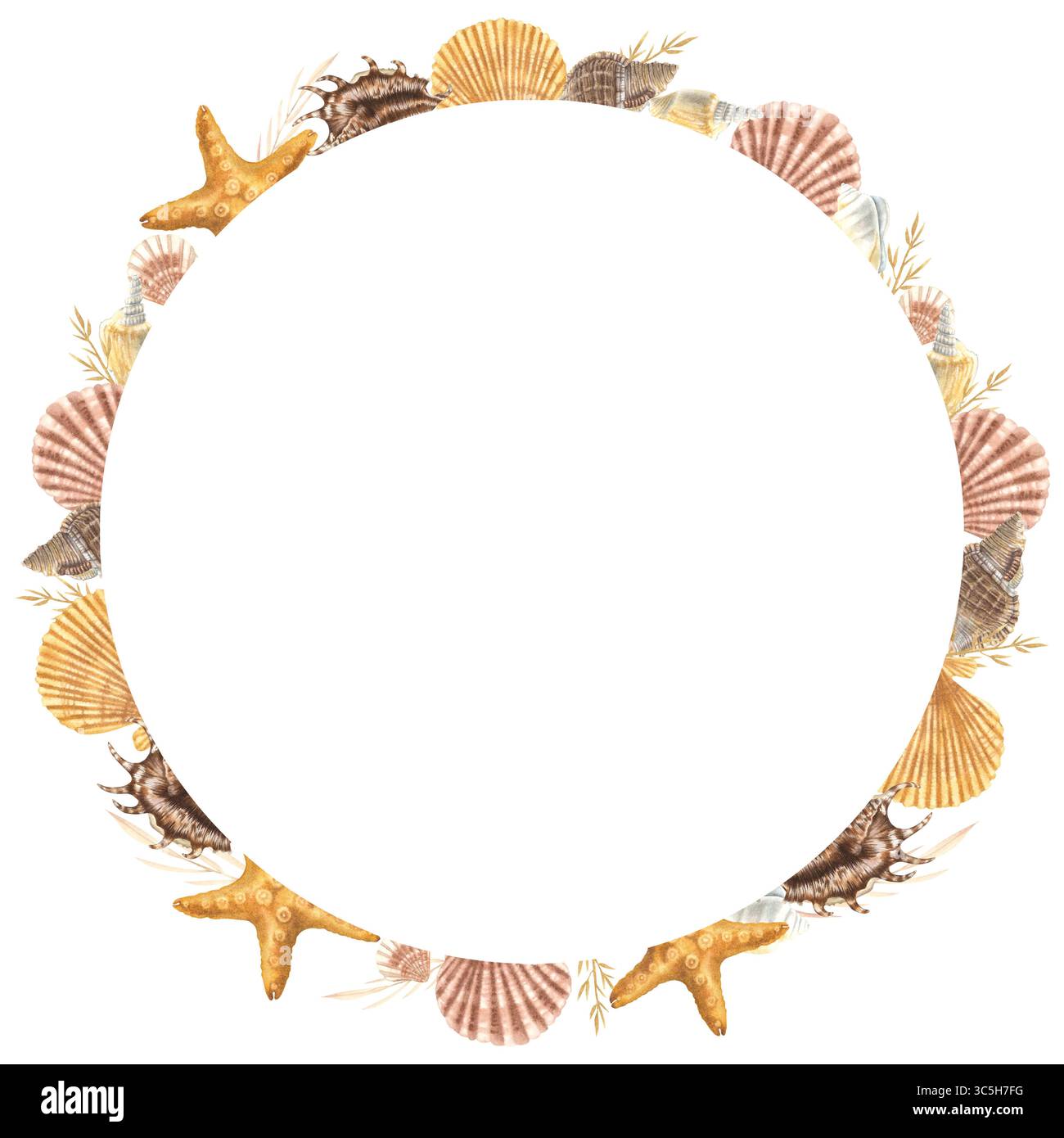Corona di conchiglie. Illustrazione ad acquerello disegnata a mano di conchiglie marine e stelle marine su sfondo isolato. Cornice circolare nautica. Bordo subacqueo per ic Foto Stock