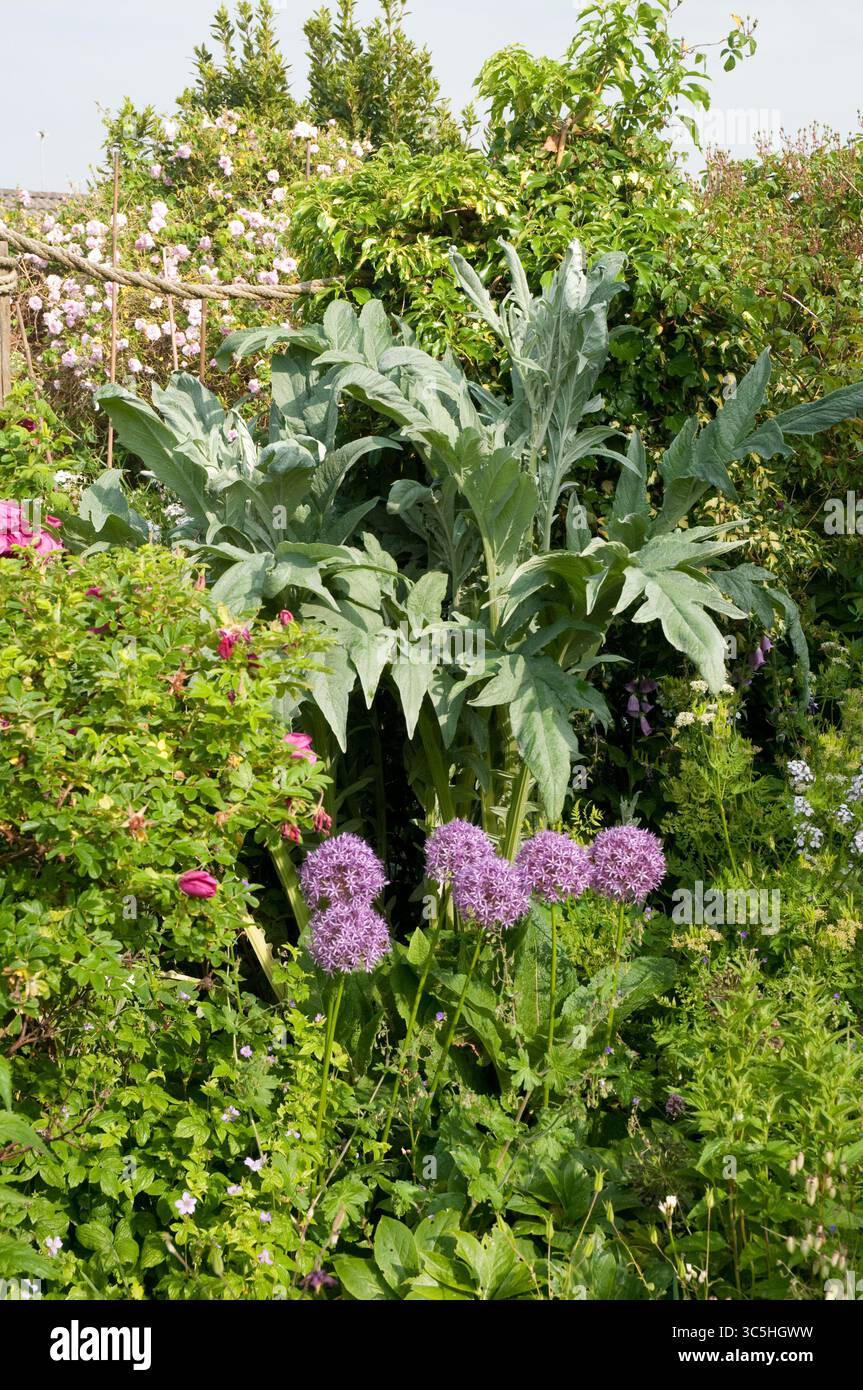 Piante verdi lussureggianti e fiori colorati riempiono il giardino sotto la luce del sole, mostrando la bellezza della natura in primavera. Foto Stock