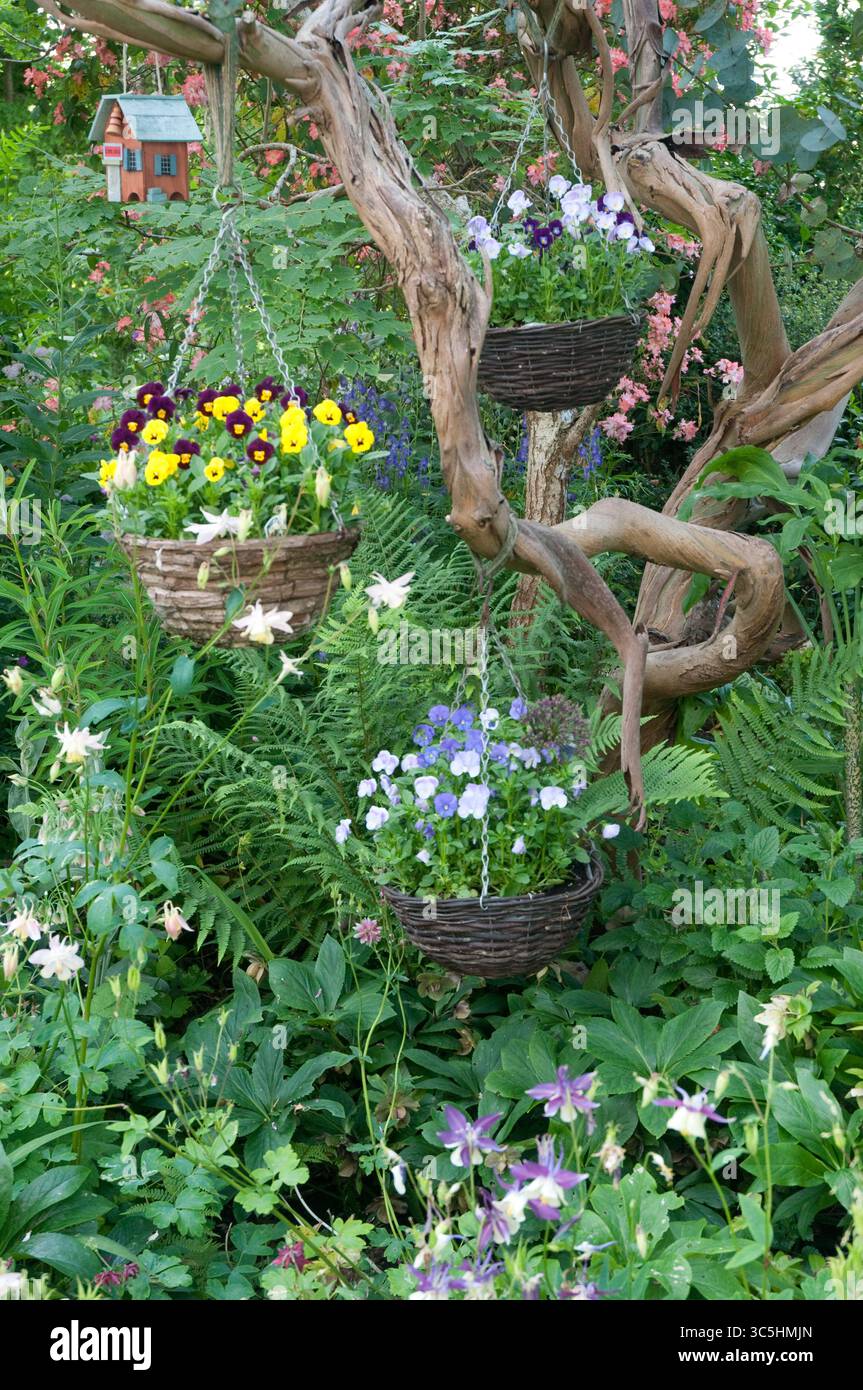 Cesti di fiori dai colori vivaci pendono dai rami, circondati da piante vivaci in un giardino lussureggiante in primavera o in estate. Foto Stock