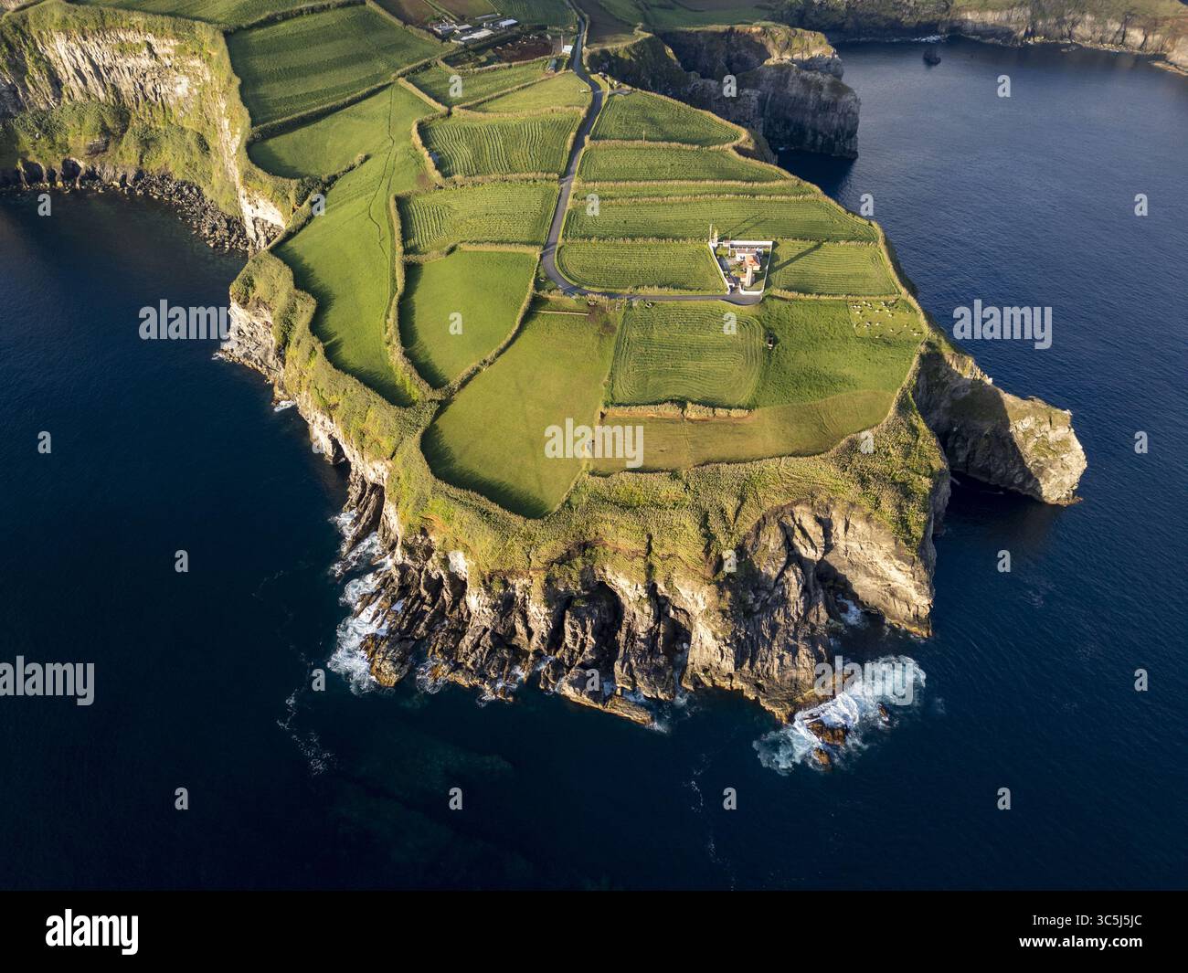 Vista aerea dei campi di smeraldo incontra l'oceano zaffiro, un arazzo costiero di artigianato naturale, Vila Franca do campo, Azzorre, Portogallo. Foto Stock