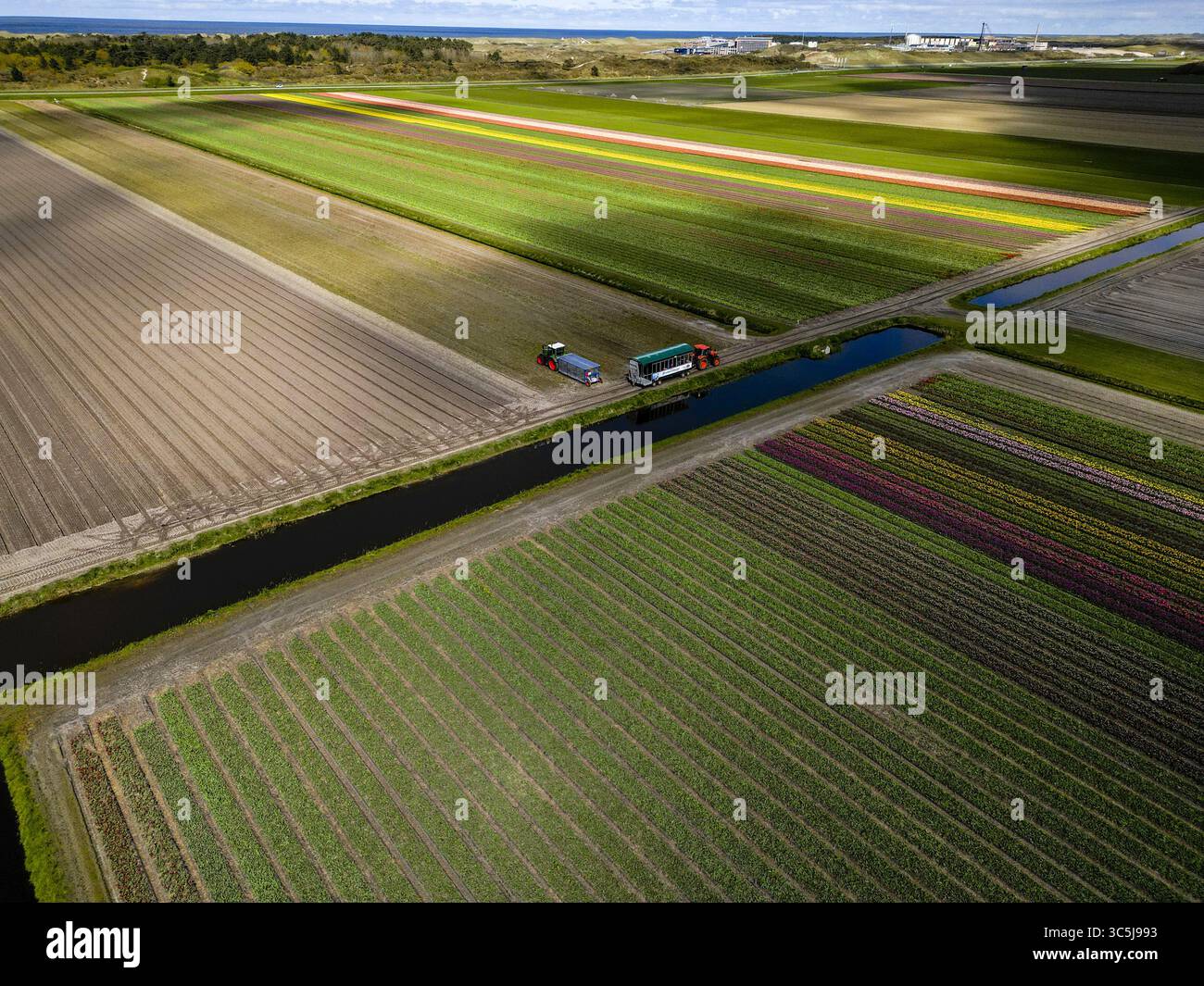 Vista aerea dei vibranti campi di tulipani che si estendono attraverso il paesaggio, un mosaico di colori intersecati da canali scuri, vicino alle attrezzature agricole, Beverwijk, Paesi Bassi. Foto Stock