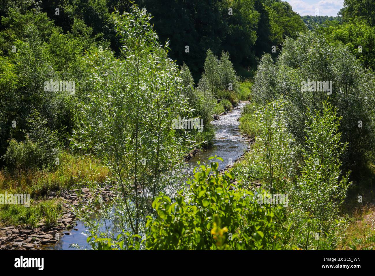 Bottrop, Nordrhein-Westfalen, Deutschland - Renaturierte Boye, der Nebenfluss der Emscher, wurde zum naturnahem Gewaesser umgestaltet, Hochwasserschutz durch neu gestaltete Ueberflutungsflaechen, Die Boye ist nach dem Bau eines parallel verlaufenden Abwasserkanals jetzt Mischwasserkanal mit Oberflaechenwasser und Abwasser. Bottrop Nordrhein-Westfalen Deutschland *** Bottrop, Renania settentrionale-Vestfalia, Germania Renaturalized Boye, l'affluente dell'Emscher, WAS Foto Stock