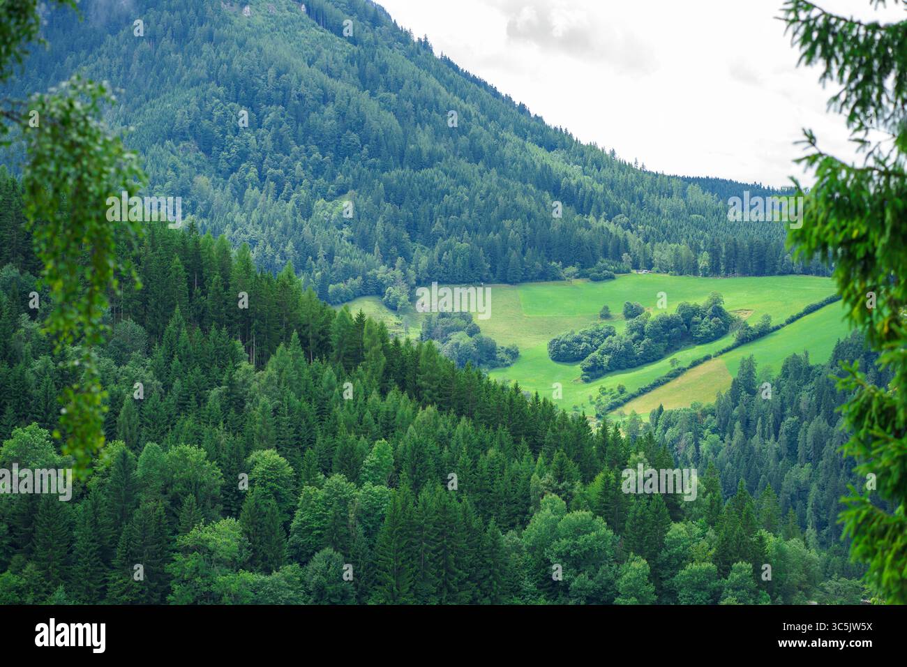 Veduta della valle dalla cima delle montagne alpine sullo sfondo del cielo, tra spesse nuvole Foto Stock