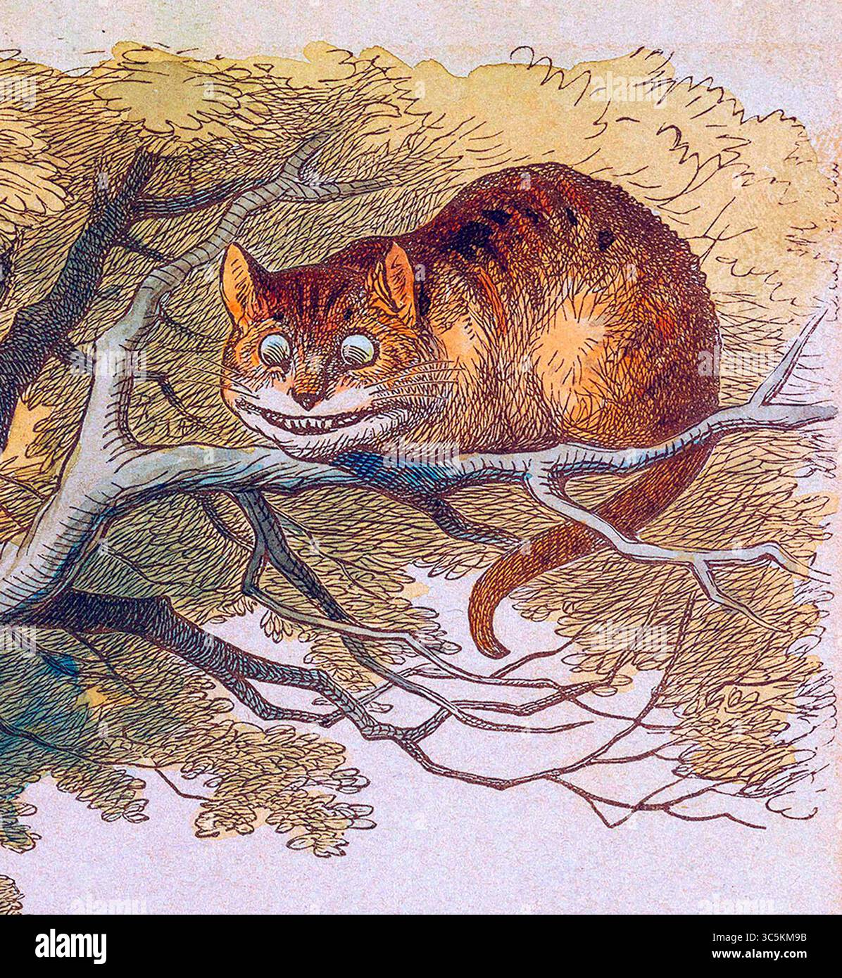 Il Cheshire Cat. Illustrazione di John Tenniel da Alice's Adventures in Wonderland 19th Century Foto Stock