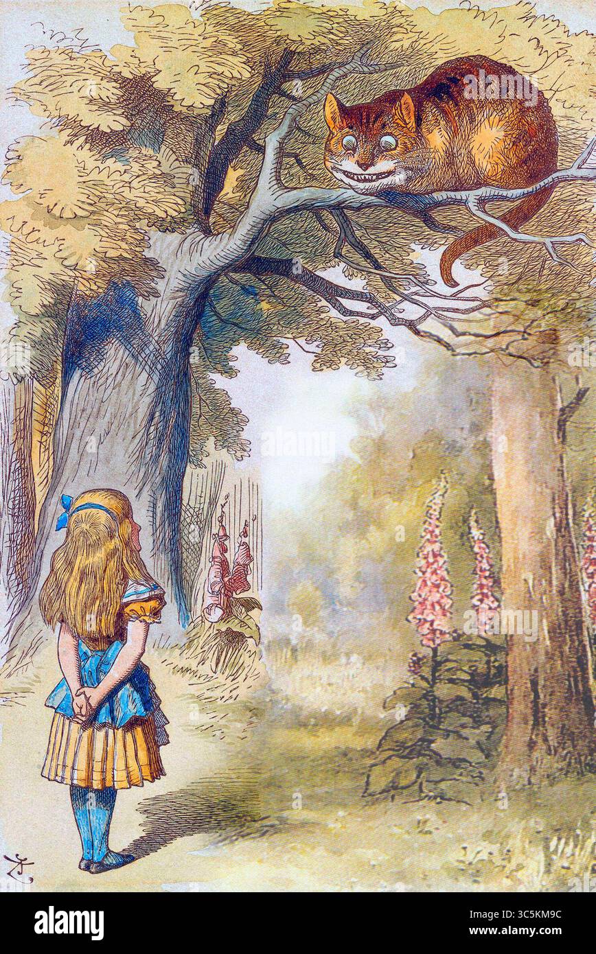 Alice e il Cheshire Cat. Illustrazione di John Tenniel da Alice's Adventures in Wonderland 19th Century Foto Stock