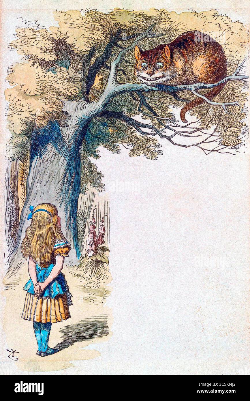 Alice e il Cheshire Cat. Illustrazione di John Tenniel da Alice's Adventures in Wonderland 19th Century Foto Stock