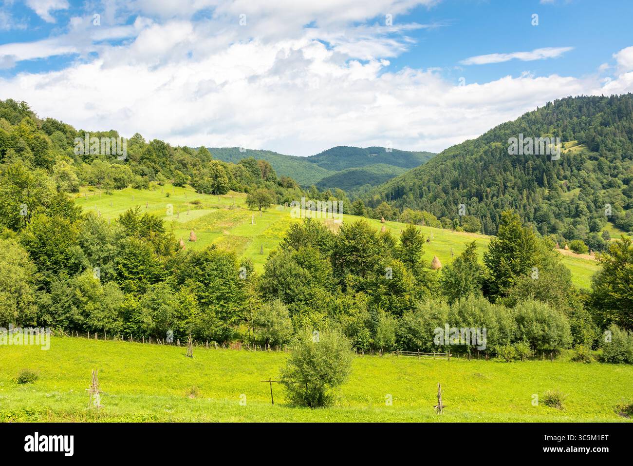 paesaggio di campagna montano in estate. campo rurale e foresta sulle dolci colline dei carpazi sotto il cielo nuvoloso. vista panoramica del paesaggio alpino Foto Stock