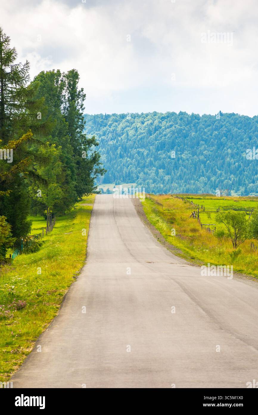 strada di campagna asfaltata dritta su per la collina. paesaggio di campagna in estate. cielo nuvoloso Foto Stock