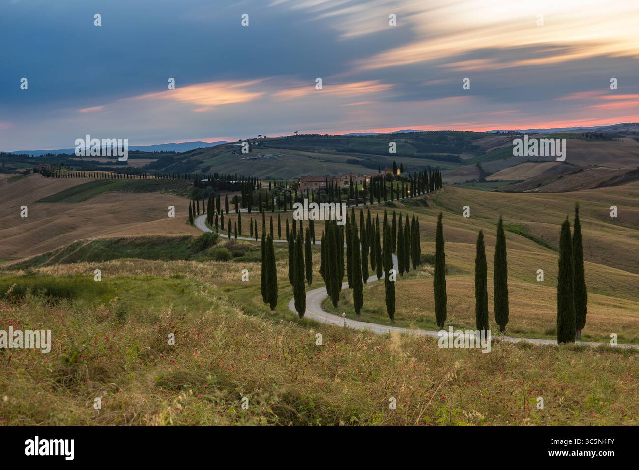 Classico paesaggio toscano nella Val d'Orcia, incastonato tra dolci colline e raggiungibile da una tortuosa strada costeggiata da cipressi. Foto Stock