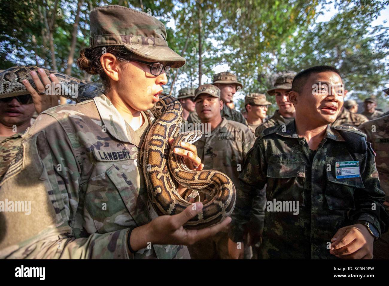 6 marzo 2020 - Korat, Thailandia - i soldati del Royal Thai Army conducono un addestramento di familiarizzazione su diversi tipi di serpenti che si trovano comunemente nel sud-est asiatico per i soldati del 2nd Battalion, 35th Infantry Regiment durante Hanuman Guardian 20 il 6 marzo 2020 a Korat, Thailandia. L'RTA presentava una varietà di serpenti, tra cui il cobra velenoso mortale che si trova comunemente in Thailandia. (Immagine di credito: © U.S. Army/ZUMA Wire/ZUMAPRESS.com) Foto Stock