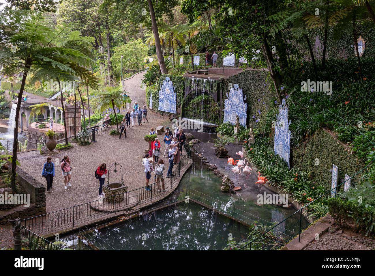 Le persone ammirano e fotografano i fenicotteri nel giardino tropicale di Monte Palace sull'isola portoghese di Madeira. Foto Stock