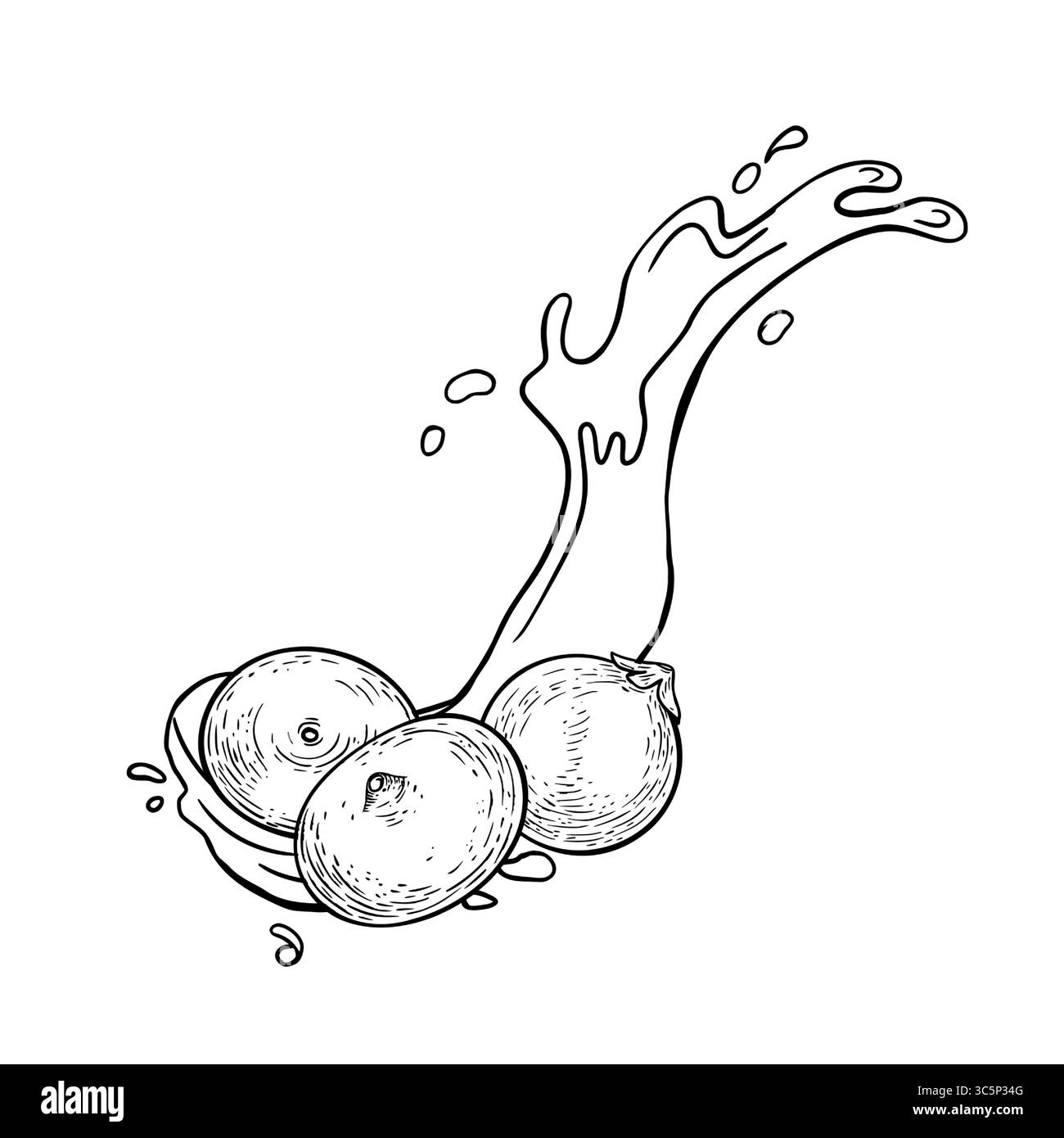 Bacche di acai su succo spruzza acquerello isolato su bianco. Esotica bacca viola amazzonica, frutta tropicale disegnata a mano. Profilo Berry Illustrazione Vettoriale