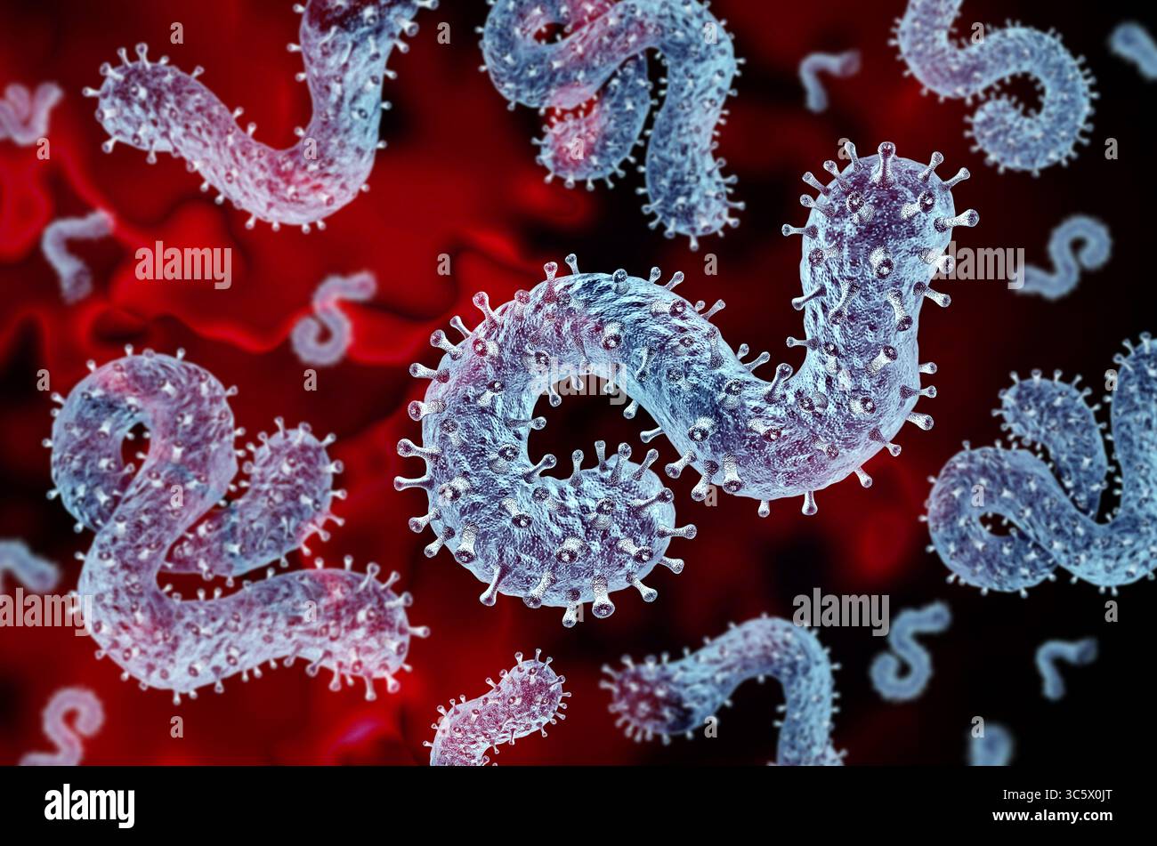 Concetto di malattia da virus di Marburg o focolaio di MVD come rischio pandemico o epidemico per la salute pubblica in quanto filovirus contagioso che provoca febbre mal di testa muscolo Foto Stock