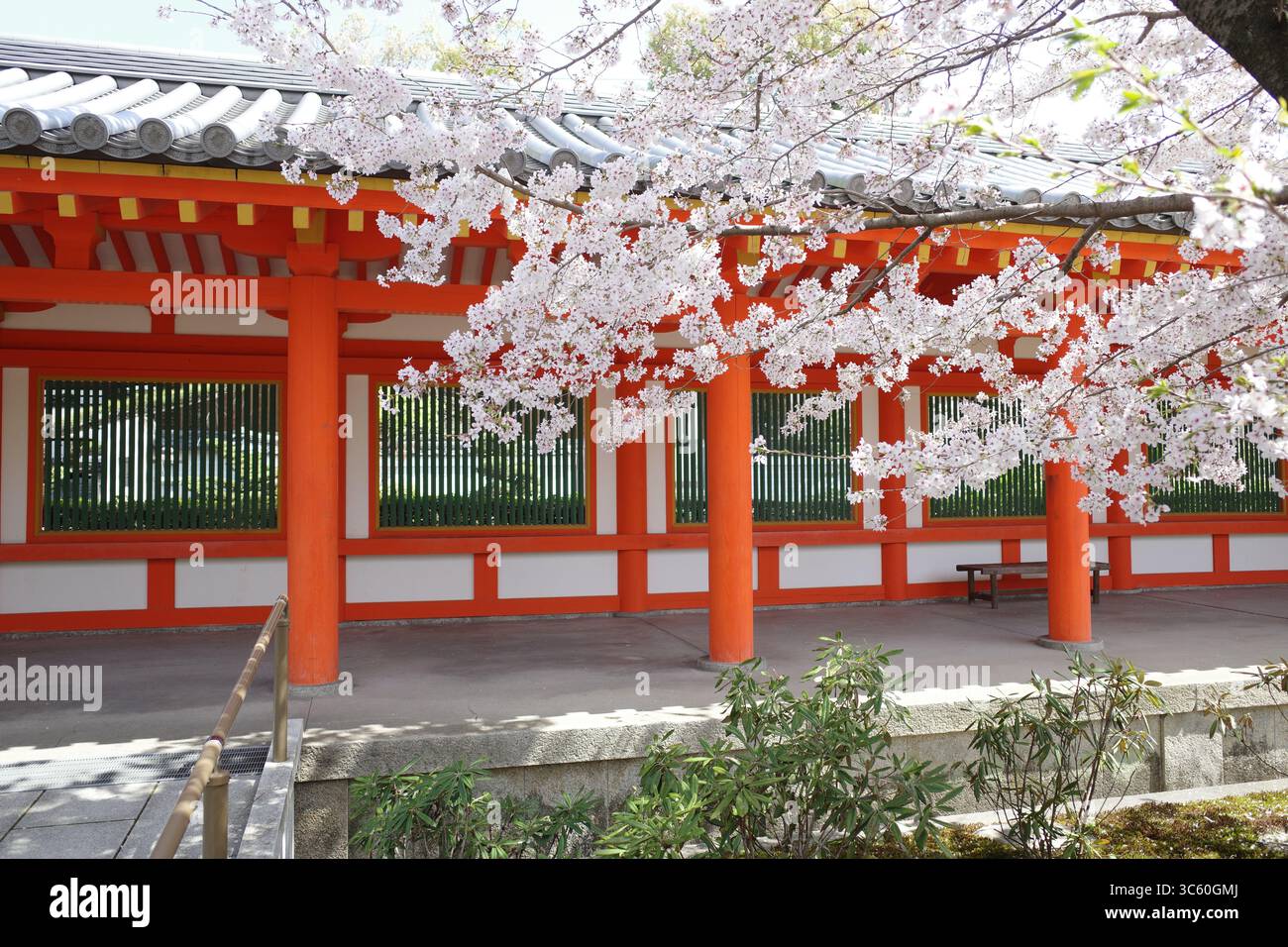 Sakura giapponese (fiori di ciliegio) e bellissime scene primaverili giapponesi senza persone. Una delle scene più belle dell'Asia orientale. Foto Stock