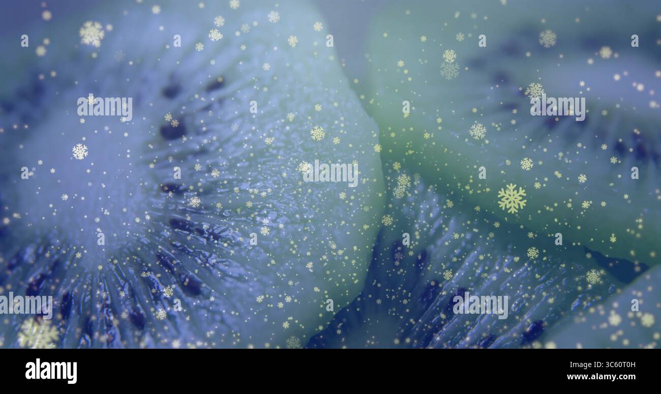 Mostra una fetta di frutta macro kiwi che mostra la consistenza della polpa blu-verde in studio, con icone di fiocchi di neve Foto Stock
