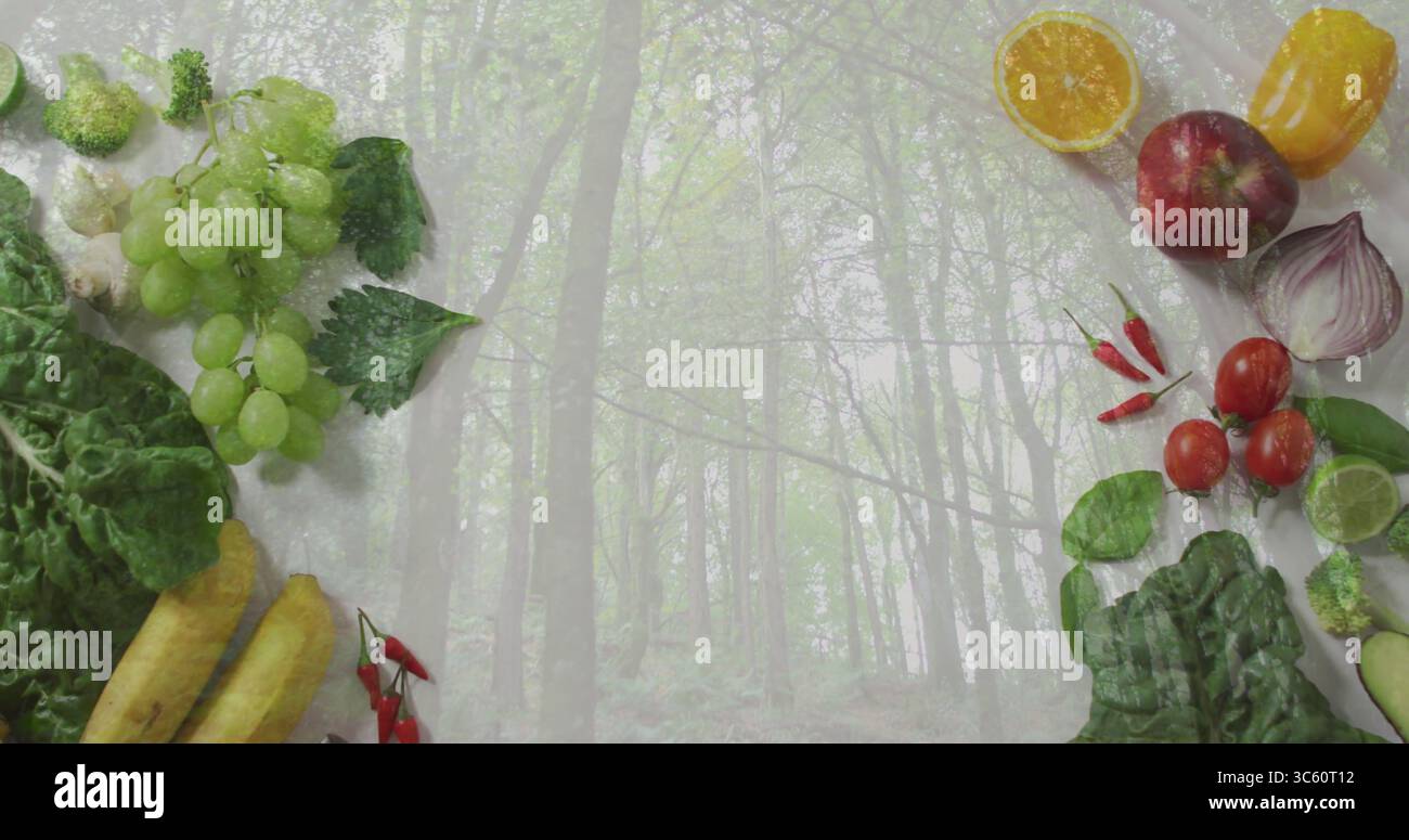 Incorniciano alti tronchi di foresta che filtrano la luce nebbiosa nel bosco, con uva verde e banane Foto Stock