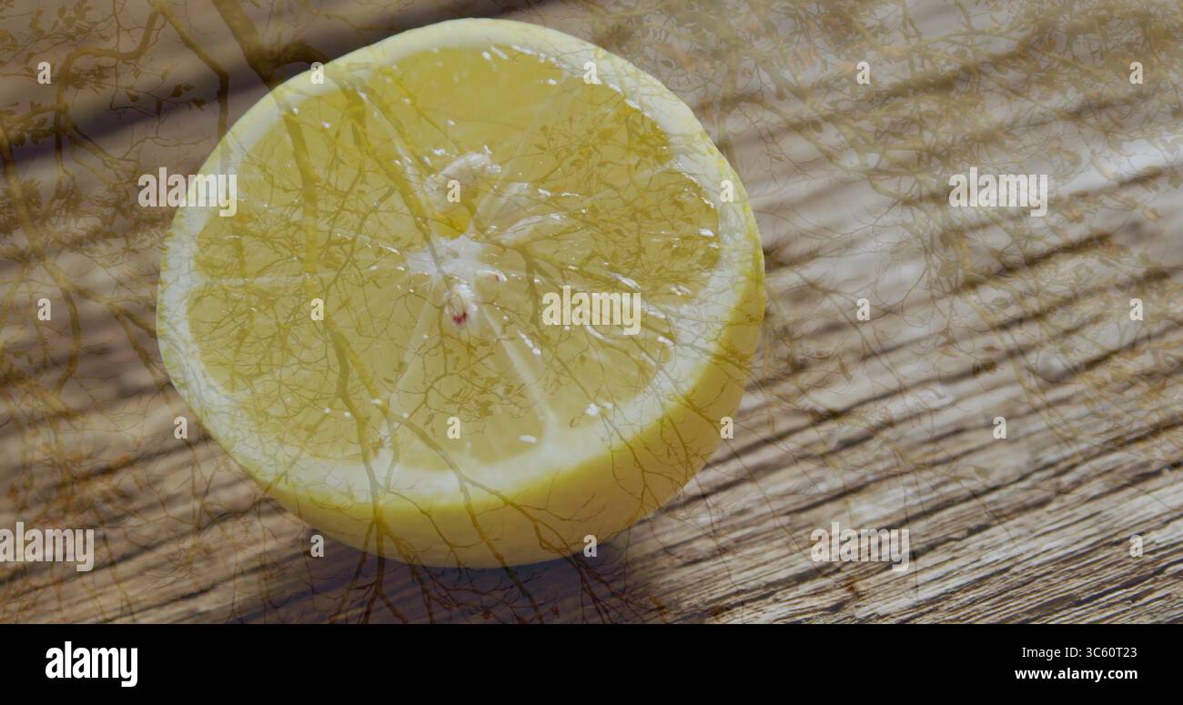 Poggiando il limone a metà su un piano in legno rustico, si rivelano sottili ombre di ramoscello Foto Stock