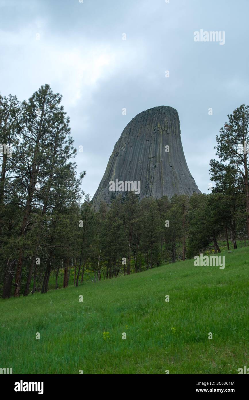 La Devils Tower sorge sopra la prateria del Wyoming in un giorno di primavera nuvoloso, con le sue impressionanti colonne vulcaniche incorniciate da verde fresco e cieli spettacolari. Foto Stock
