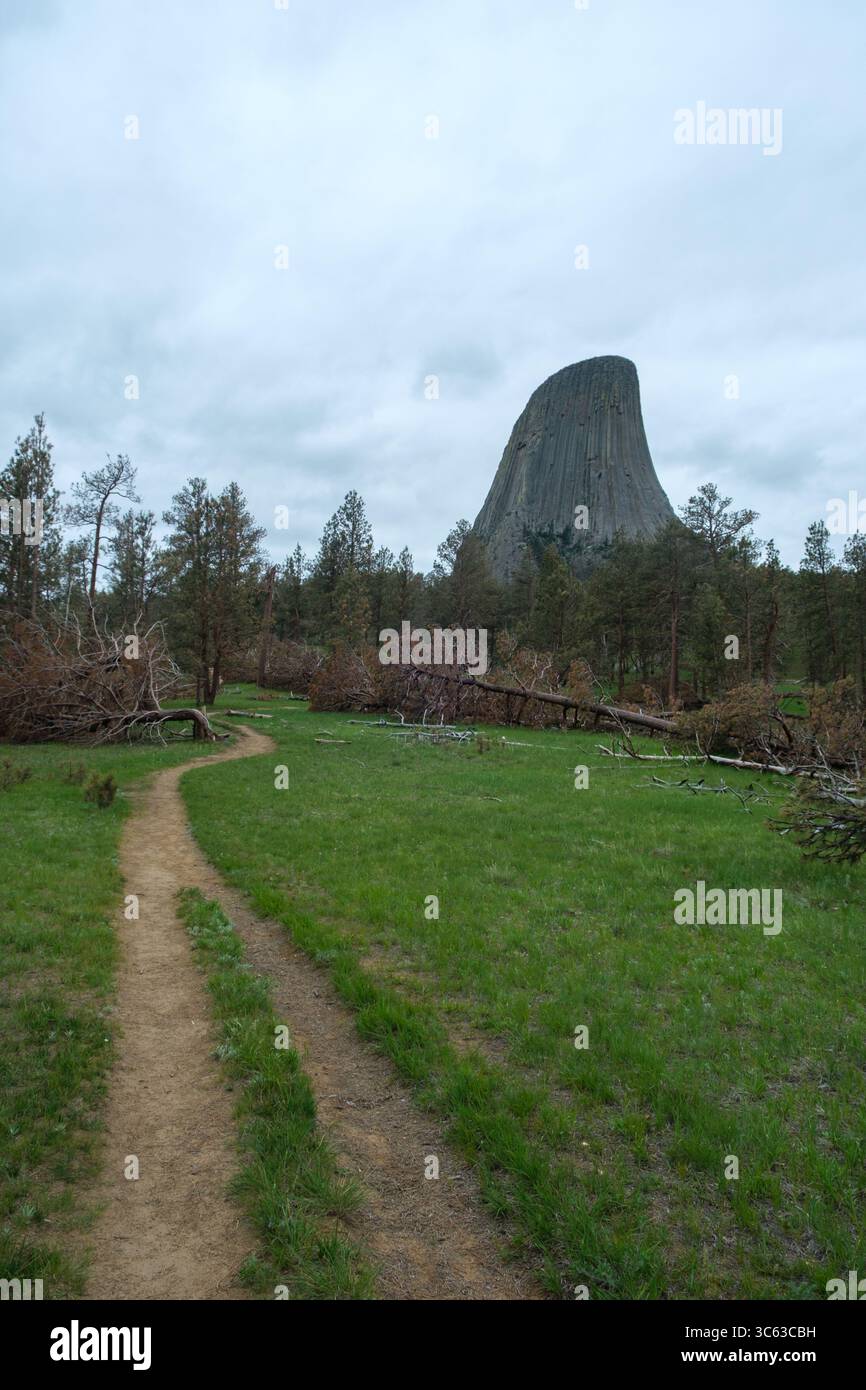 La Devils Tower sorge sopra la prateria del Wyoming in un giorno di primavera nuvoloso, con le sue impressionanti colonne vulcaniche incorniciate da verde fresco e cieli spettacolari. Foto Stock