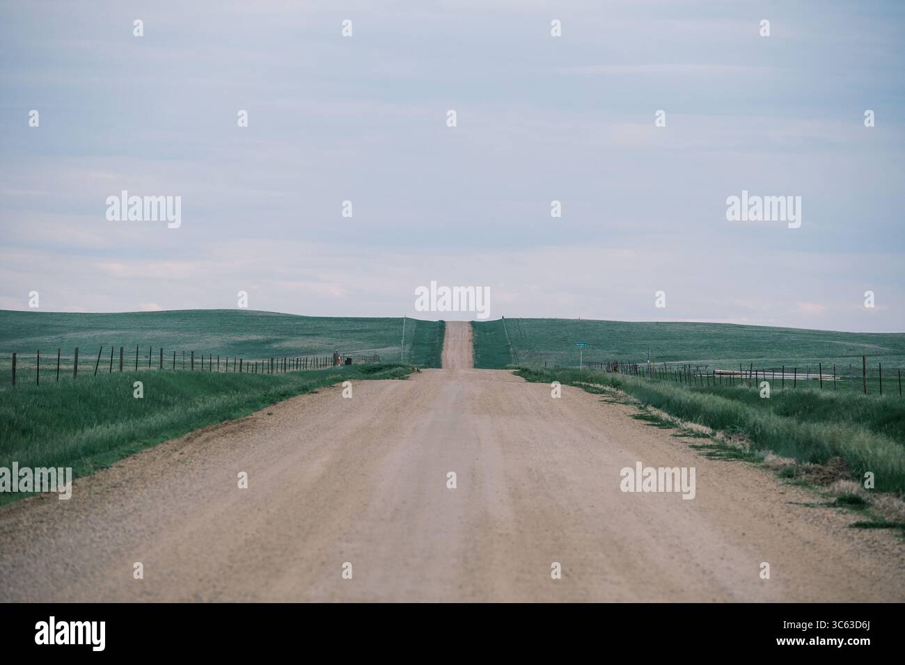 Solitaria strada sterrata che si estende attraverso le vaste pianure del South Dakota, evocando solitudine, spazi aperti e la tranquilla bellezza delle grandi Pianure. Foto Stock Solitaria strada sterrata che si estende attraverso le vaste pianure del South Dakota, evocando solitudine, spazi aperti e la tranquilla bellezza delle grandi Pianure. Foto Stock