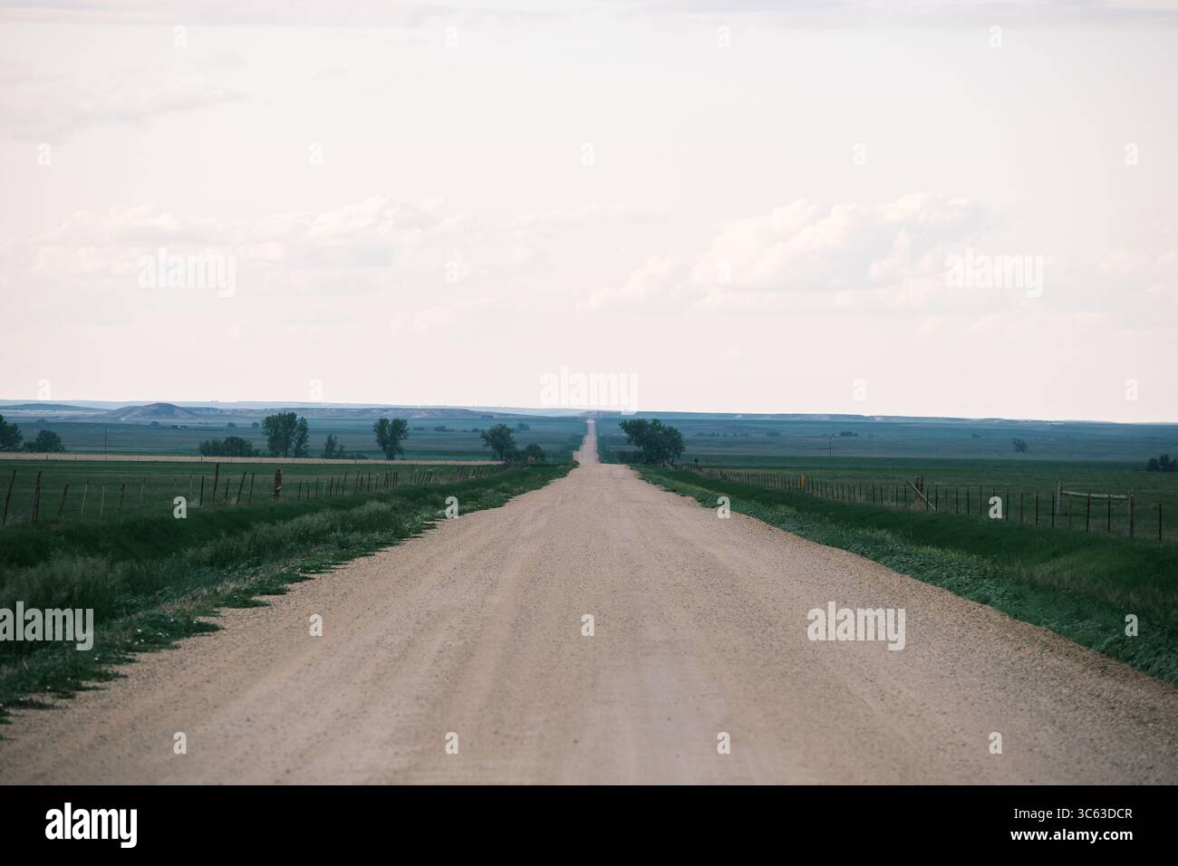Solitaria strada sterrata che si estende attraverso le vaste pianure del South Dakota, evocando solitudine, spazi aperti e la tranquilla bellezza delle grandi Pianure. Foto Stock Solitaria strada sterrata che si estende attraverso le vaste pianure del South Dakota, evocando solitudine, spazi aperti e la tranquilla bellezza delle grandi Pianure. Foto Stock