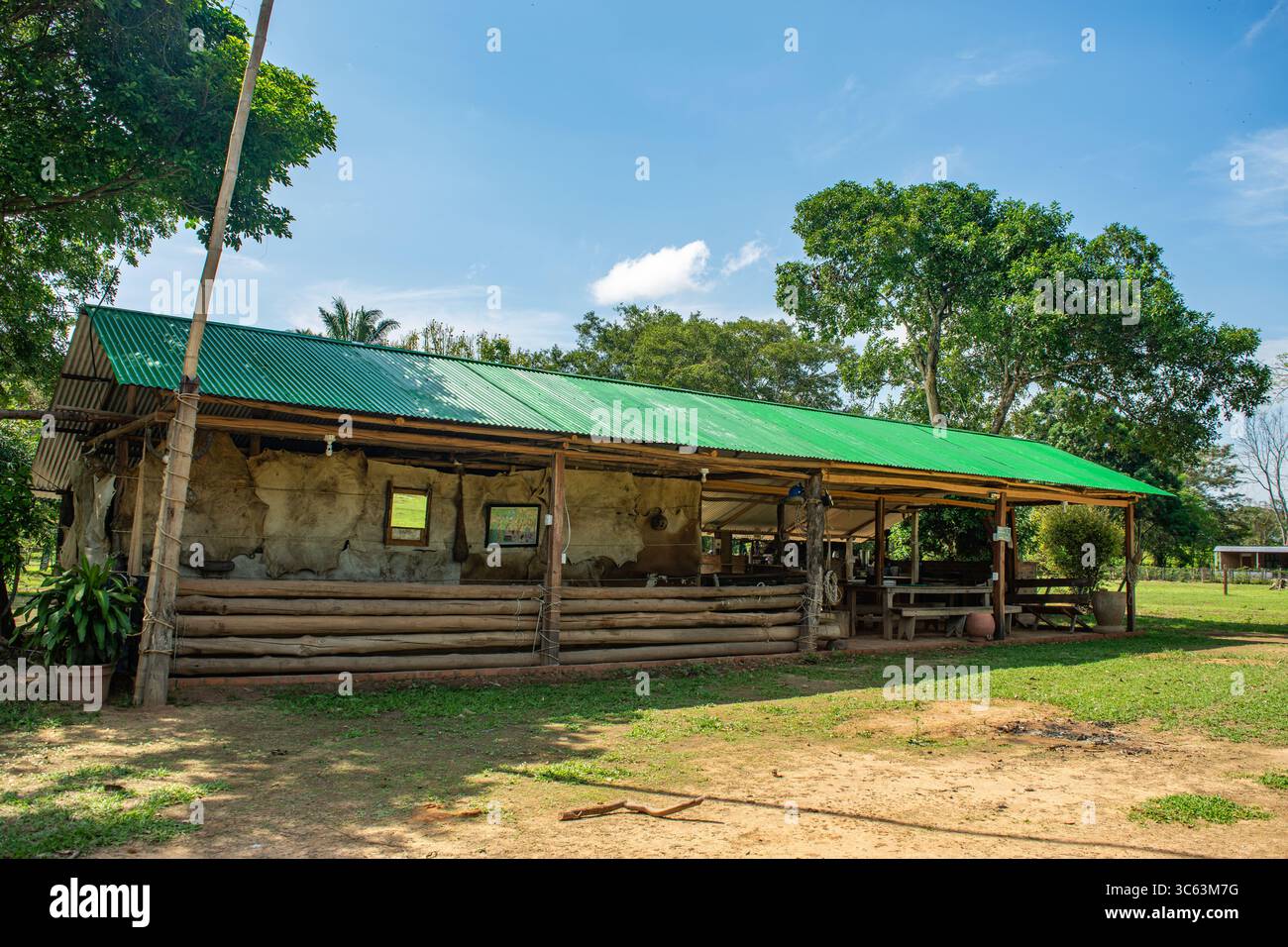 Una casa tradizionale a Casanare, Colombia, circondata da vegetazione lussureggiante e da un cielo blu luminoso, che mostra architettura rurale e bellezza naturale. Foto Stock