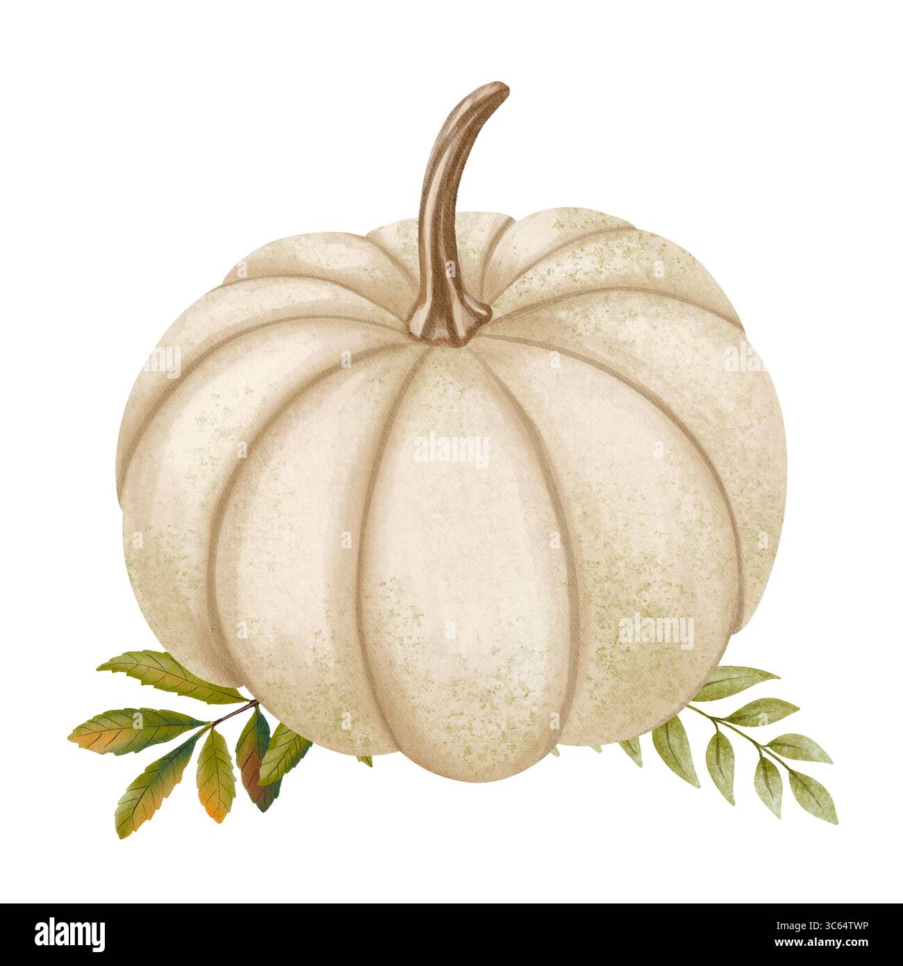 L'illustrazione mostra una zucca bianca circondata da foglie cadenti. Realizzata con tecnica acquerello, crea un'atmosfera accogliente in autunno Foto Stock