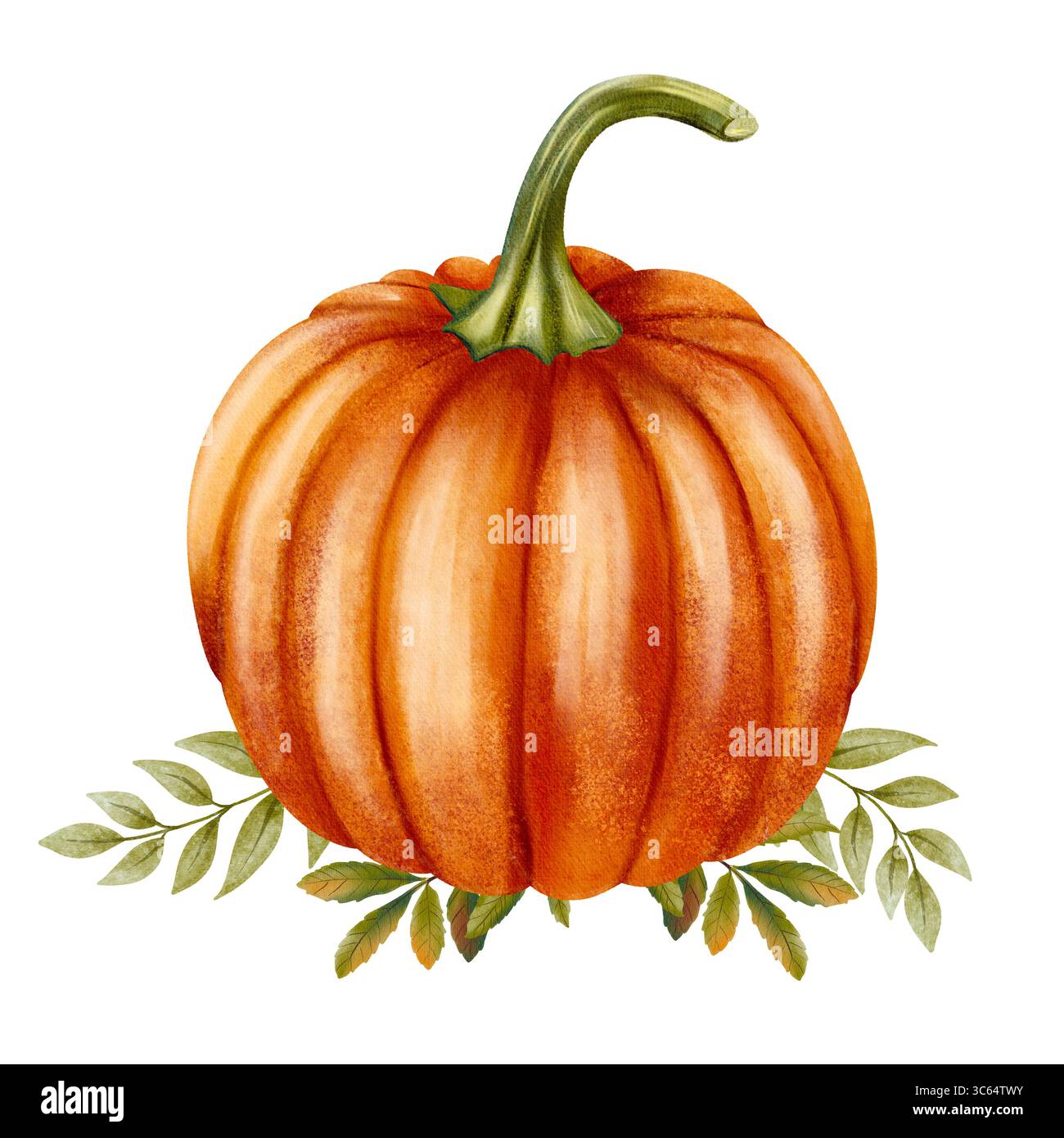 L'illustrazione mostra una zucca arancione con foglie autunnali. Realizzata con tecnica acquerello, crea una calda atmosfera autunnale. Ideale per l'arredamento Foto Stock