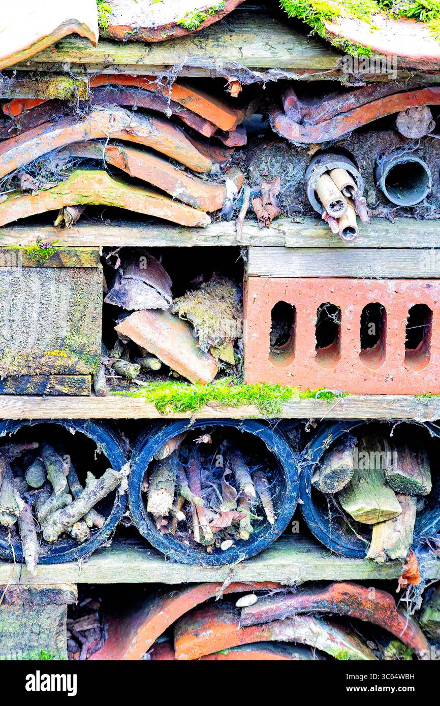 Un primo piano di un complesso hotel di insetti a Titchwell Marsh. Foto Stock