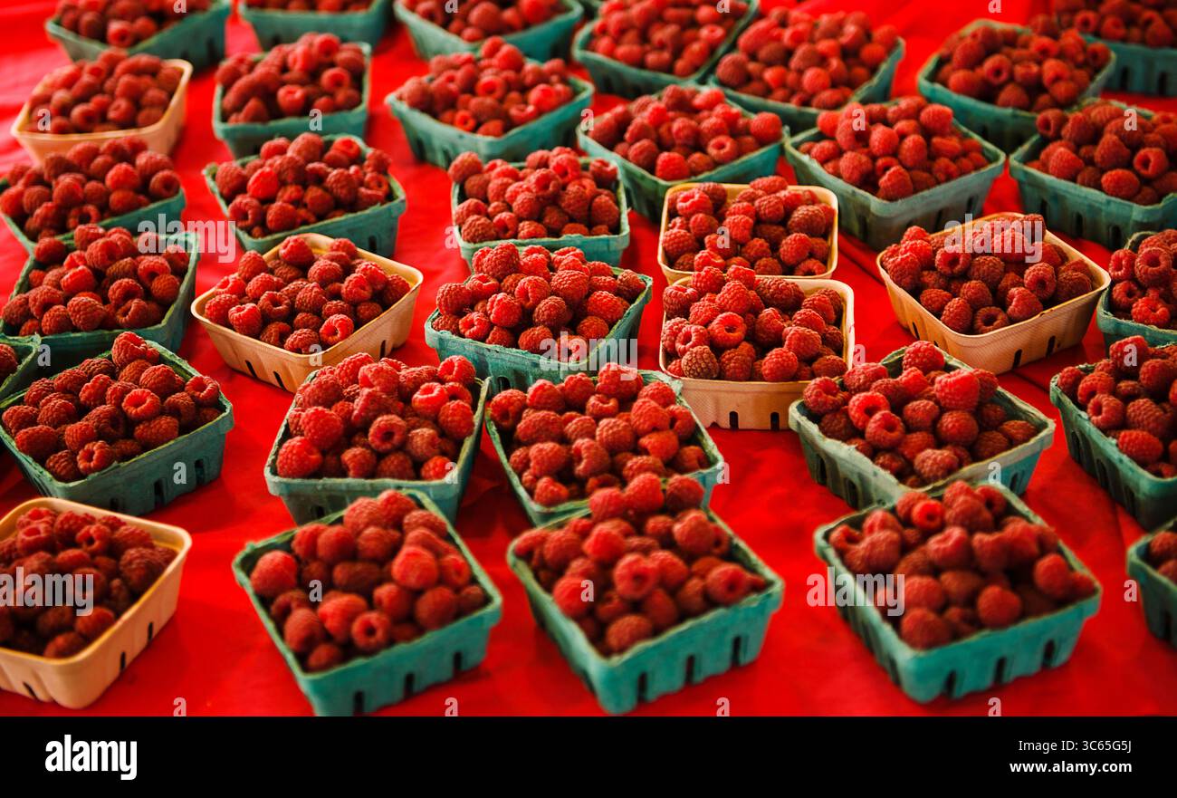 Lamponi in vendita a Pike Place Market, Seattle, Washington Foto Stock