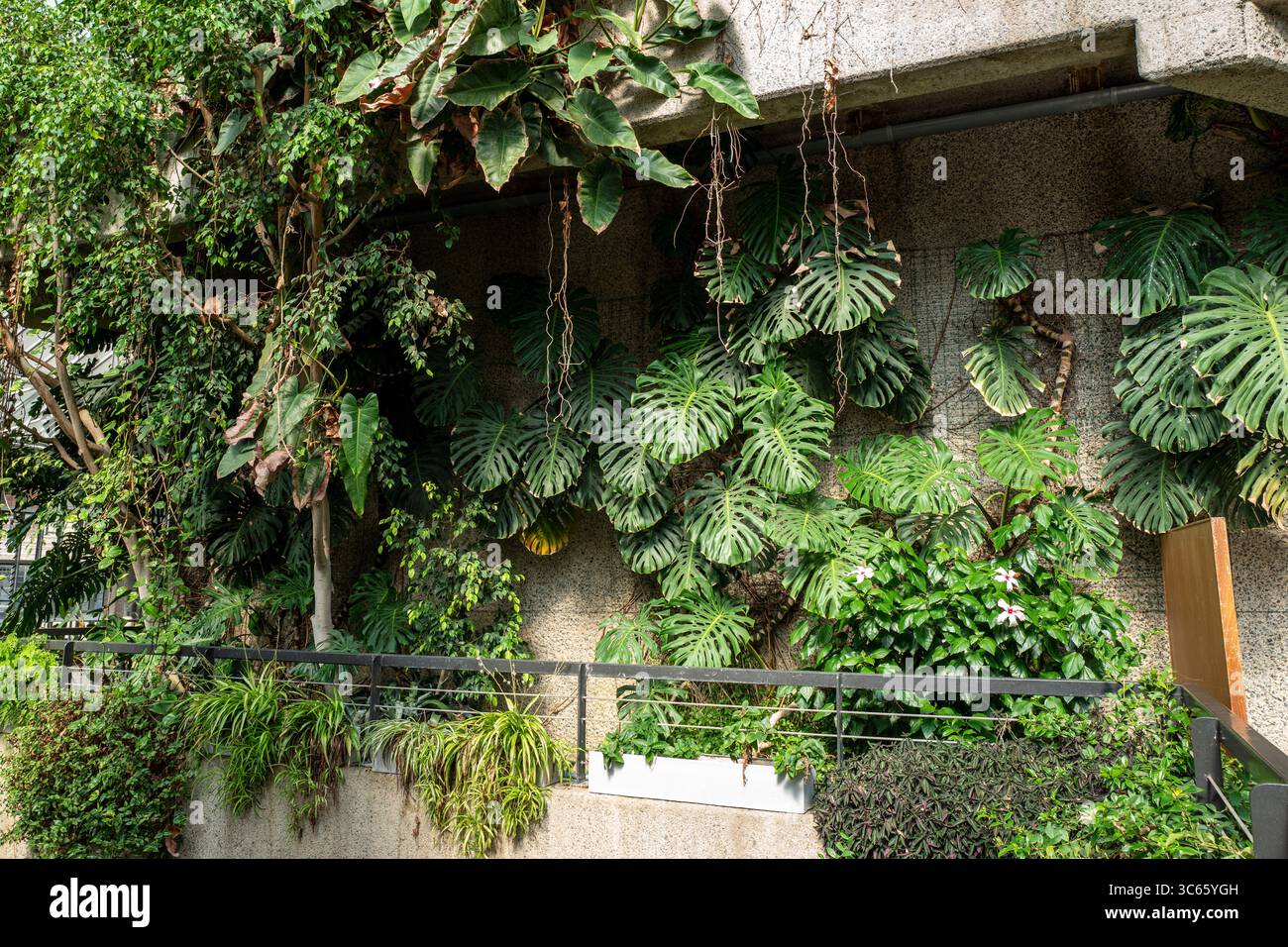 Barbican Conservatory London Tropical Plants Brutalism Foto Stock