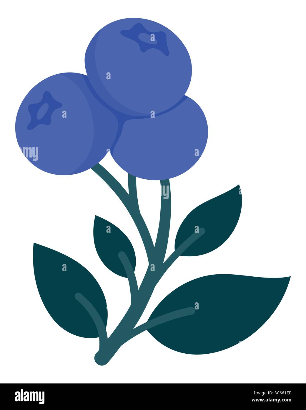 Rametto di mirtilli disegnato a mano con frutti di bosco maturi e foglie. Simpatiche illustrazioni botaniche per imballaggi, arredi per la cucina, adesivi, etichette, loghi Illustrazione Vettoriale