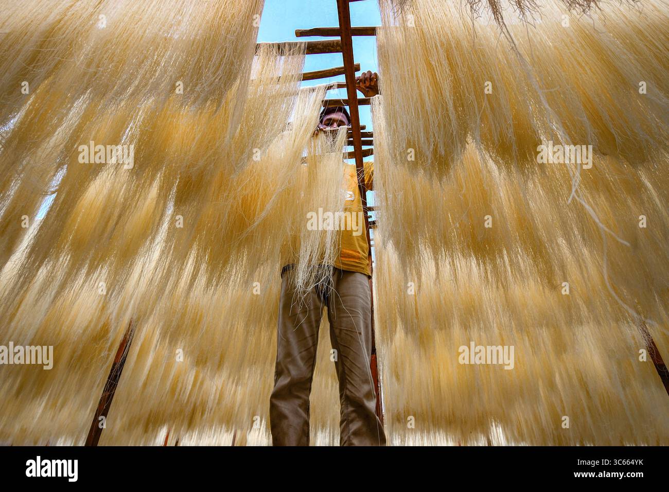 Bogura, Bangladesh - 23 marzo 2023: Vista di un uomo in mezzo a vermicelli essiccati, i fili catturano la luce come fili dorati, creando una tenda morbida e strutturata sotto il cielo aperto. Foto Stock