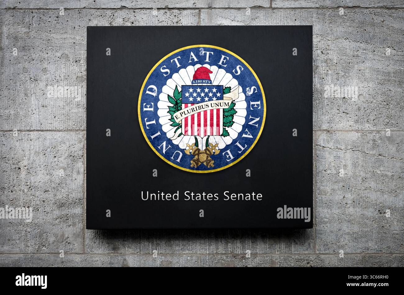 Senato degli Stati Uniti - il potere legislativo al centro della democrazia americana Foto Stock