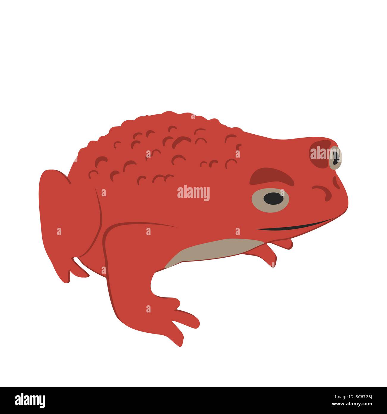 Rana rossa cartoni animati con pelle verruca. Rana isolata su bianco. Elemento di design inquietante per Halloween. Illustrazione vettoriale Illustrazione Vettoriale