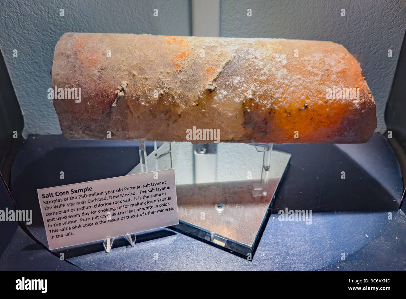 Un nucleo di sale permiano dal sito WIPP nel Museo Nazionale di Scienza nucleare. Albuquerque, New Mexico. L'impianto pilota per l'isolamento dei rifiuti è più avanzato Foto Stock
