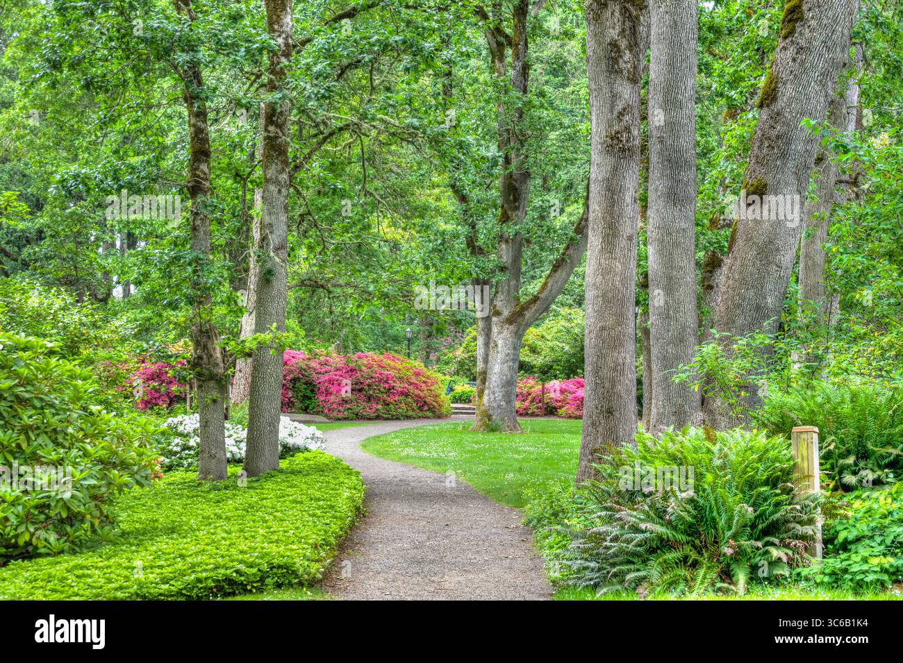 Hendricks Park Native Garden Pathway a Euguene, Oregon Foto Stock