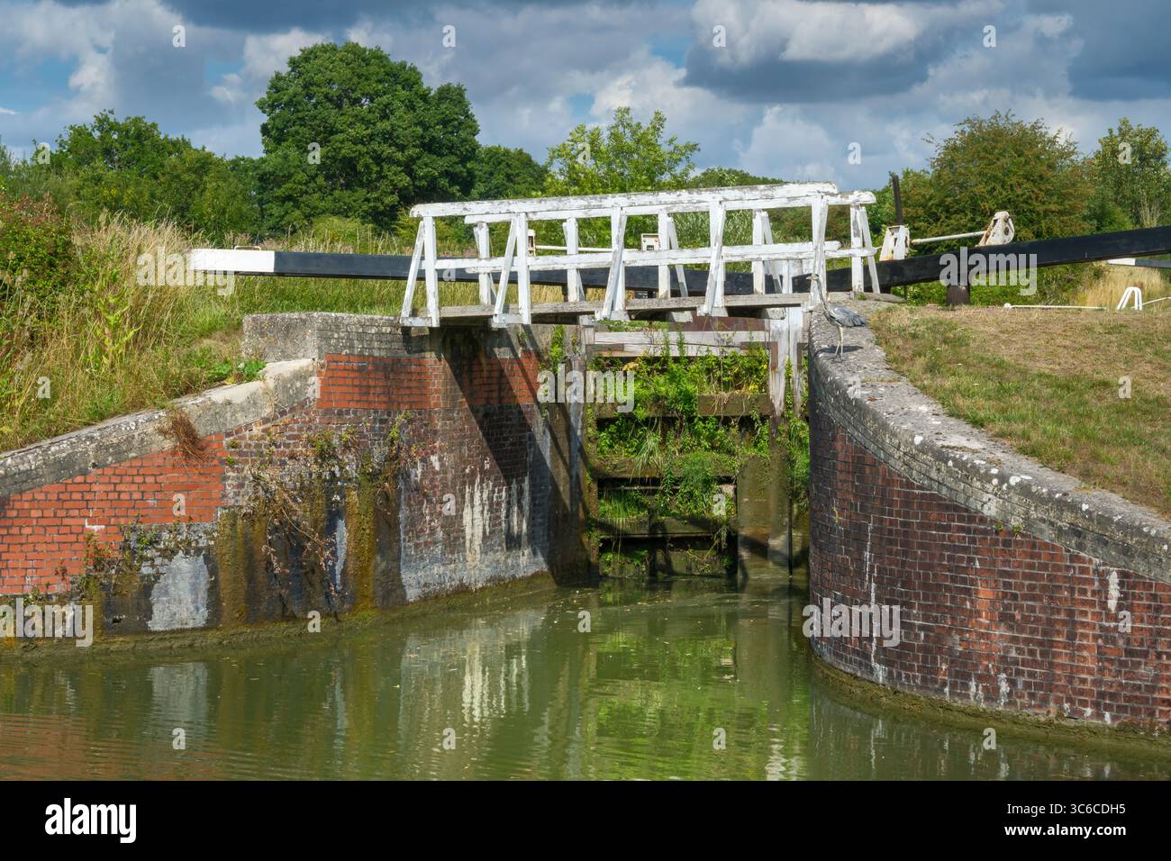 Devizes, Wiltshire - Un airone siede sul muro di una chiusa del sistema Caen Hill Lock. Foto Stock