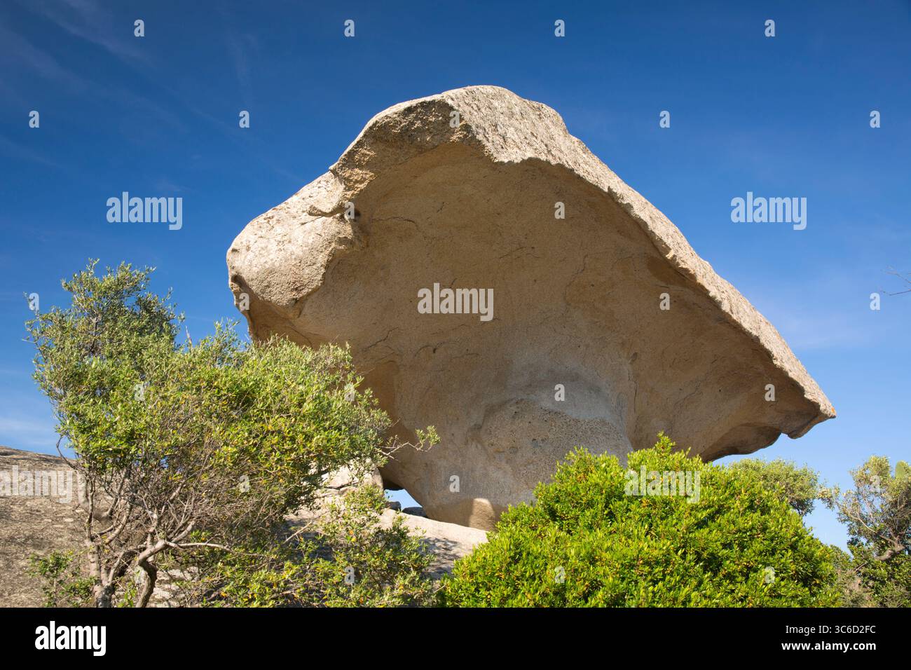 Arzachena, Gallura, Sardegna, Italia. La roccia il fungo, detta anche roccia dei funghi, un bizzarro affioramento di granito che si affaccia sulla città. Foto Stock