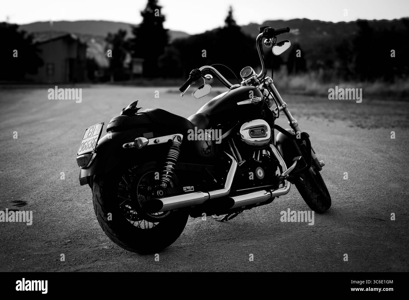 Una Harley-Davidson sfreccia lungo la strada, catturata in movimento e quiete: L'essenza della libertà su due ruote. Foto Stock