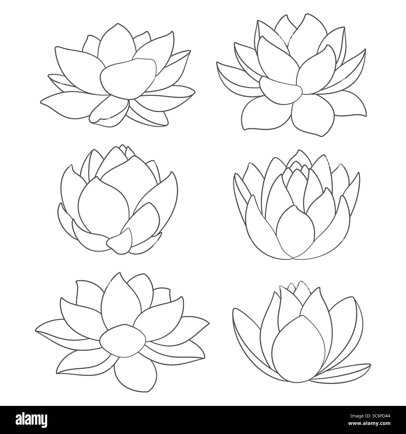 Set di illustrazioni in bianco e nero con giglio d'acqua e loto. Oggetti vettoriali isolati su sfondo bianco. Illustrazione Vettoriale